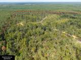 TBD County Road 15 - Photo 32