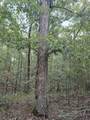 Lot 2 Robin Hood Rd - Photo 10