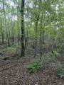 Lot 2 Robin Hood Rd - Photo 14
