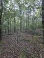 Lot 3 Robin Hood Rd - Photo 12