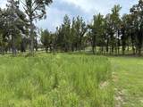 Lot 38 Lynnlee Ln - Photo 5