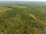 5457 County Road 222 - Photo 15