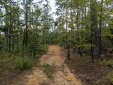 5457 County Road 222 - Photo 5