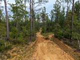 5457 County Road 222 - Photo 8