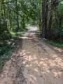 350 Blackgum Dr - Photo 23