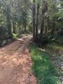 350 Blackgum Dr - Photo 25