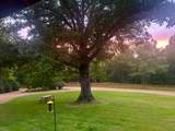 81 County Road  231 - Photo 4