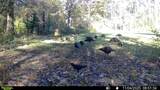 00 Franklin Drive - Photo 56