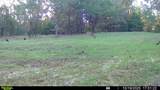 00 Franklin Drive - Photo 57
