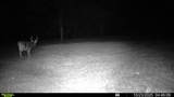 00 Franklin Drive - Photo 58