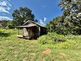 1302 Brassfield Road - Photo 6