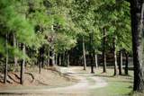 123 Cr 430 - Photo 10