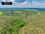 TBD County Road 224 - Photo 12