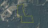 TBD County Road 224 - Photo 2