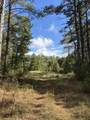00 Hwy 331 - Photo 13