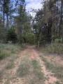 00 Hwy 331 - Photo 15