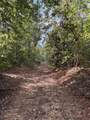 00 Hwy 331 - Photo 25