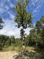 00 Hwy 331 - Photo 27