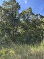 00 Hwy 331 - Photo 32