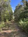 00 Hwy 331 - Photo 35