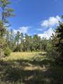 00 Hwy 331 - Photo 36