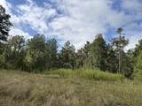 00 Hwy 331 - Photo 7