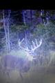 00 Tribble Rd - Photo 13