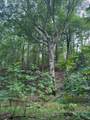 00 Tribble Rd - Photo 15
