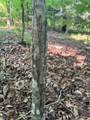 00 Tribble Rd - Photo 16