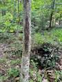 00 Tribble Rd - Photo 18