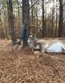 00 Tribble Rd - Photo 5