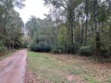 37.50 ac Sissell Street - Photo 10