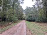 37.50 ac Sissell Street - Photo 11