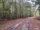 37.50 ac Sissell Street - Photo 13