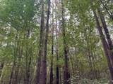 37.50 ac Sissell Street - Photo 14