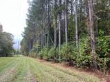 37.50 ac Sissell Street - Photo 15