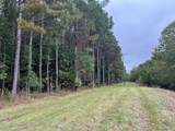 37.50 ac Sissell Street - Photo 17