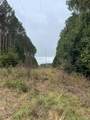 37.50 ac Sissell Street - Photo 19