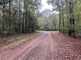 37.50 ac Sissell Street - Photo 6