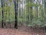 37.50 ac Sissell Street - Photo 8