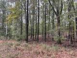 37.50 ac Sissell Street - Photo 9