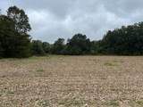 4.80 ac S. Main Street - Photo 11