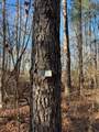 85  ac County Road 291 - Photo 10