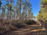 85  ac County Road 291 - Photo 14
