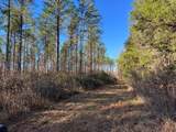 85  ac County Road 291 - Photo 16