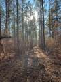 85  ac County Road 291 - Photo 17