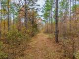 85  ac County Road 291 - Photo 31