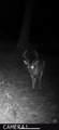 00 Cr 82 - Photo 5