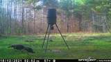 34599 Ms 8 - Photo 59
