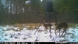 34599 Ms 8 - Photo 71